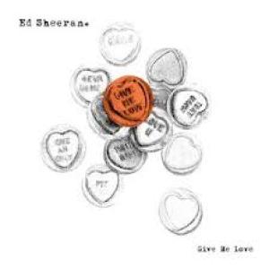 Album cover for Give Me Love album cover