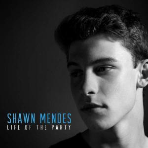 Album cover for Life of the Party album cover