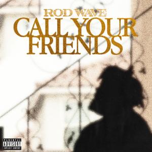 Album cover for Call Your Friends album cover